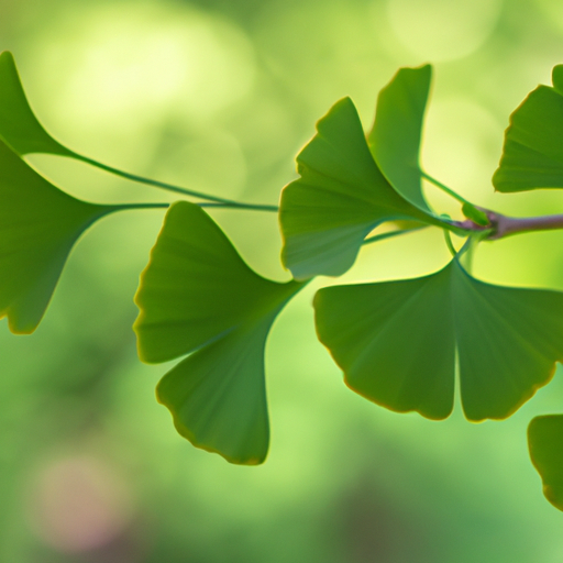 Best Herbs For Tinnitus